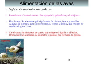 Alimentación de las aves
• Según su alimentación las aves pueden ser:

• Insectívoras: Comen insectos. Por ejemplo la golondrina y el abejorro.

• Herbívoras: Se alimentan principalmente de hierbas, frutos y semillas.
  Algunas se alimenta casi sólo de semillas, como la perdiz, que reciben el
  nombre de granívoras.

• Carnívoras: Se alimentan de carne, por ejemplo el águila y el buitre.
  Omnívoras: Se alimentan de animales y plantas, por ejemplo, la gallina.




                                      21
                                                            18
 