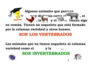 Algunos animales que parecen
              muy distintos como el          , el
                  , la      y el       tienen algo
en común. Tienen un esqueleto que está formado
por la columna vertebral y otros huesos.
        SON LOS VERTEBRADOS

Los animales que no tienen esqueleto ni columna
vertebral como el       y la     …
          SON INVERTEBRADOS
                                     3
 