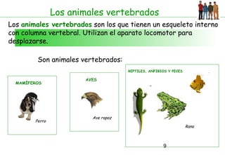 Los animales vertebrados
Los animales vertebrados son los que tienen un esqueleto interno
con columna vertebral. Utilizan el aparato locomotor para
desplazarse.

         Son animales vertebrados:
                                     REPTILES, ANFIBIOS Y PECES

                       AVES
  MAMÍFEROS




                         Ave rapaz
        Perro
                                                                  Rana



                                                     9
 