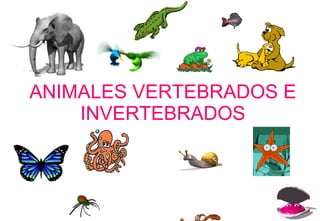 ANIMALES VERTEBRADOS E INVERTEBRADOS 