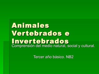 Animales
Ver tebr ados e
Inver tebr ados
Comprensión del medio natural, social y cultural.

            Tercer año básico. NB2
 