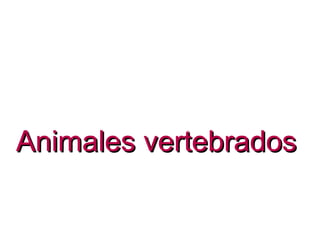 Animales vertebradosAnimales vertebrados
 