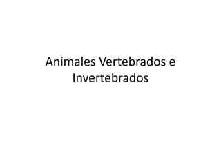 Animales Vertebrados e
Invertebrados
 