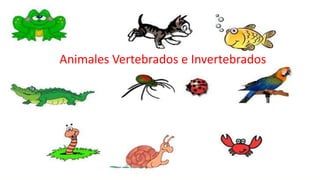 Animales Vertebrados e Invertebrados
 