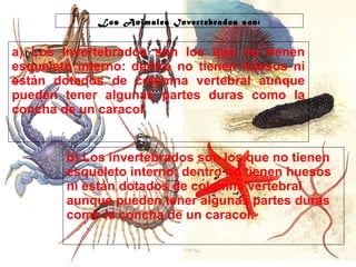 29/10/10
Los Animales Invertebrados son:
a) Los invertebrados son los que no tienen
esqueleto interno: dentro no tienen huesos ni
están dotados de columna vertebral aunque
pueden tener algunas partes duras como la
concha de un caracol.
b) Los invertebrados son los que no tienen
esqueleto interno: dentro no tienen huesos
ni están dotados de columna vertebral
aunque pueden tener algunas partes duras
como la concha de un caracol.
 