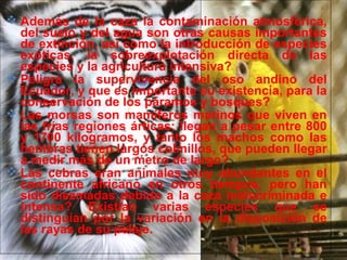 29/10/10
 Además de la caza la contaminación atmosférica,
del suelo y del agua son otras causas importantes
de extinción, así como la introducción de especies
exóticas, la sobreexplotación directa de las
especies y la agricultura intensiva?
 Peligra la supervivencia del oso andino del
Ecuador, y que es importante su existencia, para la
conservación de los páramos y bosques?
 Las morsas son mamíferos marinos que viven en
las frías regiones árticas; llegan a pesar entre 800
y 1700 kilogramos, y tanto los machos como las
hembras tienen largos colmillos, que pueden llegar
a medir más de un metro de largo?
 Las cebras eran animales muy abundantes en el
continente africano en otros tiempos, pero han
sido diezmadas debido a la caza indiscriminada e
intensa? Existían varias especies que se
distinguían por la variación en la disposición de
las rayas de su pelaje.
 