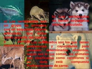 29/10/10
Que son los Vertebrados:
a) Los vertebrados son
un grupo de animales
con un esqueleto interno
articulado, que actúa
como soporte del cuerpo
y permite su
movimiento.
b) Los vertebrados
no tienen esqueletos
interno articulado.
c) Los vertebrados son los que tienen
preferencias y capacidades para
consumir determinados alimentos,
según sea lo que coman, los animales
son clasificados como carnívoros si
su dieta está compuesta
Preferentemente de carne.
 