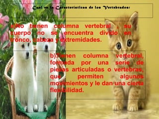 29/10/10
Cual es la Características de los Vertebrados:
a)No tienen columna vertebral , su
cuerpo no se encuentra divido en
tronco, cabeza y extremidades.
b)Tienen columna vertebral,
formada por una serie de
piezas articuladas o vertebras,
que permiten algunos
movimientos y le dan una cierta
flexibilidad.
 