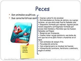 Peces
        Son animales acuáticos.
        Sus características son:  Cuerpo cubierto de escamas
                                                        Extremidades en forma de aletas y su cuerpo
                                                       termina en una aleta más fuerte llamada cola.
                                                        Esqueleto formado por espinas; algunos peces
                                                       tienen esqueleto cartilaginoso formado por
                                                       piezas más blandas y flexibles que los huesos
                                                       llamadas cartílagos.
                                                        Respiran por branquias.
                                                        Suelen tener vejiga natatoria: una bolsa de
                                                       aire que les sirve para flotar o hundirse en el
                                                       agua.
                                                        Son animales de sangre fría.
                                                        Fecundación externa.
                                                        Son ovíparos pero no incuban los huevos.
                             •Sardina
                             •Trucha                    Alimentación carnívora, herbívora u omnívora,
                             •Tiburón                  según el animal.
                             •Merluza




Inmaculada Marín López.2ºC Grado en Educación Primaria. Facultad de Ciencias de la Educación; Universidad de Córdoba.
 