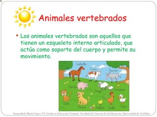 Animales vertebrados
   Los animales vertebrados son aquellos que
      tienen un esqueleto interno articulado, que
      actúa como soporte del cuerpo y permite su
      movimiento.




Inmaculada Marín López.2ºC Grado en Educación Primaria. Facultad de Ciencias de la Educación; Universidad de Córdoba.
 