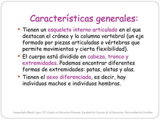 Características generales:
    Tienen un esqueleto interno articulado en el que
     destacan el cráneo y la columna vertebral (un eje
     formado por piezas articuladas o vértebras que
     permite movimientos y cierta flexibilidad).
    El cuerpo está dividido en cabeza, tronco y
     extremidades. Podemos encontrar diferentes
     formas de extremidades: patas, aletas y alas.
    Tienen el sexo diferenciado, es decir, hay
     individuos machos e individuos hembras.




Inmaculada Marín López.2ºC Grado en Educación Primaria. Facultad de Ciencias de la Educación; Universidad de Córdoba.
 