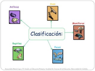 Aves
      Anfibios




                                                                                               Mamíferos



                                   Clasificación:
          Reptiles
                                                                     Peces




Inmaculada Marín López.2ºC Grado en Educación Primaria. Facultad de Ciencias de la Educación; Universidad de Córdoba.
 