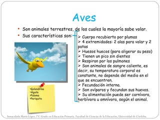 Aves
         Son animales terrestres, de los cuales la mayoría sabe volar.
         Sus características son:                          Cuerpo recubierto por plumas
                                                            4 extremidades: 2 alas para volar y 2
                                                           patas
                                                            Huesos huecos (para aligerar su peso)
                                                            Tienen un pico sin dientes
                                                            Respiran por los pulmones
                                                            Son animales de sangre caliente, es
                                                           decir, su temperatura corporal es
                                                           constante, no depende del medio en el
                                                           que se encuentren.
                                                            Fecundación interna.
                  •Golondrina                               Son ovíparos y fecundan sus huevos.
                  •Águila
                  •Paloma                                   Su alimentación puede ser carnívora,
                  •Periquito                               herbívora u omnívora, según el animal.



Inmaculada Marín López.2ºC Grado en Educación Primaria. Facultad de Ciencias de la Educación; Universidad de Córdoba.
 