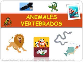 ANIMALES
                             VERTEBRADOS




Inmaculada Marín López.2ºC Grado en Educación Primaria. Facultad de Ciencias de la Educación; Universidad de Córdoba.
 