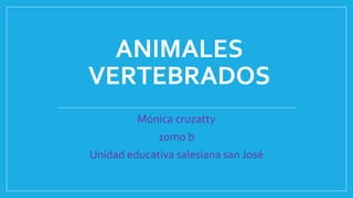 ANIMALES
VERTEBRADOS
Mónica cruzatty
10mo b
Unidad educativa salesiana san José
 