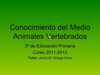 Animales vertebrados