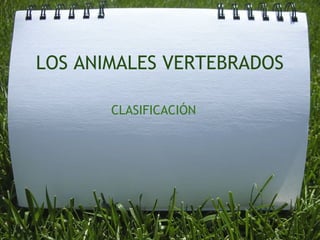 LOS ANIMALES VERTEBRADOS

       CLASIFICACIÓN
 