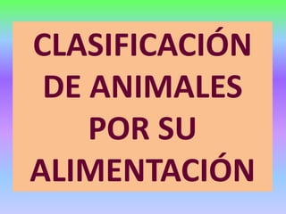 CLASIFICACIÓN
DE ANIMALES
POR SU
ALIMENTACIÓN
 