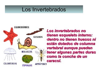 Los InvertebradosLos Invertebrados
Los invertebrados noLos invertebrados no
tienen esqueleto interno:tienen esqueleto interno:
dentro no tienen huesos nidentro no tienen huesos ni
están dotados de columnaestán dotados de columna
vertebral aunque puedenvertebral aunque pueden
tener algunas partes durastener algunas partes duras
como la concha de uncomo la concha de un
caracol.caracol.
 