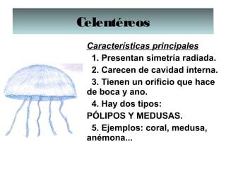 CelentéreosCelentéreos
Características principales
  1. Presentan simetría radiada.
  2. Carecen de cavidad interna.
  3. Tienen un orificio que hace 
de boca y ano.
  4. Hay dos tipos: 
PÓLIPOS Y MEDUSAS.
  5. Ejemplos: coral, medusa, 
anémona...
 