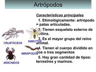 ArtrópodosArtrópodos
Características principales
  1. Etimológicamente: artrópodo 
= patas articuladas.
  2. Tienen esqueleto externo de 
quitina.
  3. Es el mayor grupo del reino 
animal.
  4. Tienen el cuerpo dividido en 
dos o tres segmentos
  5. Hay gran cantidad de tipos: 
terrestres y marinos.
 