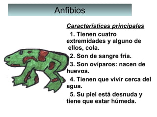AnfibiosAnfibios
Características principales
  1. Tienen cuatro 
extremidades y alguno de 
 ellos, cola.
  2. Son de sangre fría.
  3. Son ovíparos: nacen de 
huevos.
  4. Tienen que vivir cerca del 
agua.
  5. Su piel está desnuda y 
tiene que estar húmeda.
 
