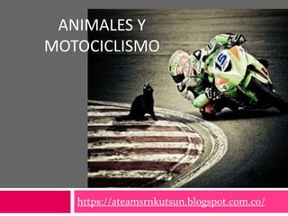 ANIMALES Y
MOTOCICLISMO
https://ateamsrnkutsun.blogspot.com.co/
 