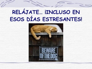 RELÁJATE… ¡INCLUSO EN ESOS DÍAS ESTRESANTES! 