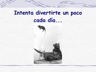 Intenta divertirte un poco cada día... 