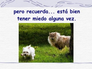 pero recuerda... está bien tener miedo alguna vez. 