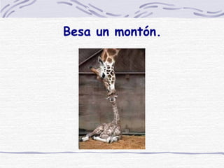 Besa un montón. 