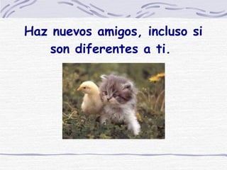 Haz nuevos amigos, incluso si son diferentes a ti.  