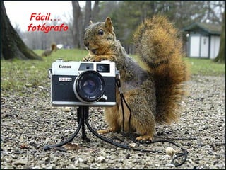 Fácil... fotógrafo