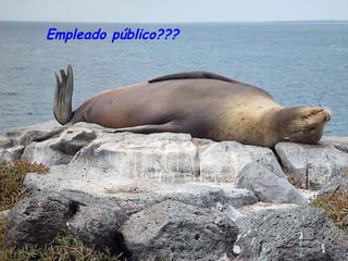 Empleado público???