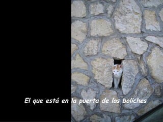 El que está en la puerta de los boliches