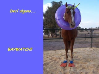 Decí alguno... BAYWATCH!! 