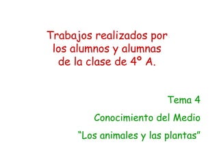 Trabajos realizados por los alumnos y alumnas de la clase de 4º A. Tema 4 Conocimiento del Medio “ Los animales y las plantas” 