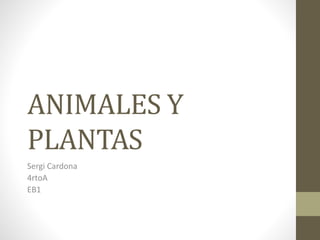 ANIMALES Y
PLANTAS
Sergi Cardona
4rtoA
EB1
 