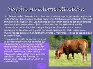 Según su alimentación:Según su alimentación:

Herbívoros: un herbívoros es un animal que se alimenta principalmente de plantas.
En la práctica, sin embargo, muchos herbívoros también se alimentan de proteínas
animales, como huevos, etc. Los humanos que no comen carne no son considerados
herbívoros sino vegetarianos. En la cadena trófica, los herbívoros son los
consumidores primarios, mientras que los que se alimentan de carne son
consumidores secundarios. Algunos herbívoros pueden ser clasificados como
frugívoros, los cuales comen solamente frutas y frolívoros, los que se especializan
en comer hojas.
Esta especialización se encuentra lejos
de ser universal y muchos animales que
comen frutas u hojas comen también
otras partes de plantas, en particular
raíces y semillas. Las dietas de algunos
animales herbívoros varían con las
estaciones, especialmente en las zonas
templadas, donde las fuentes de
alimentación disponibles varían en el
curso del año.
 