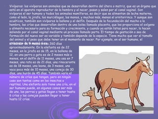 
Vivíparos: los vivíparos son animales que se desarrollan dentro del útero o matriz, que es un órgano que
está en el aparato reproductor de la hembra y al nacer, pasan y salen por el canal vaginal. Son
vivíparos el ser humano y todos los animales mamíferos, es decir que se alimentan de leche materna,
como el león, la jirafa, los murciélagos, los monos, y muchos más, menos el ornitorrinco. Y aunque son
acuáticos, también son vivíparos la ballena y el delfín. Después de la fecundación del macho a la
hembra, las crías que desarrollan dentro de una bolsa llamada placenta, que les proporciona el oxígeno
y alimento necesario para su formación y crecimiento, y cuando ya están listas para nacer, lo hacen
saliendo por el canal vaginal mediante un proceso llamado parto. El tiempo de gestación o sea de
formación del nuevo ser es variable y también depende de la especie. Tiene mucho que ver el tamaño
del animal y el peso que debe tener en el momento de nacer. Por ejemplo, en el ser humano, el
embarazo de la mamá duraalrededor de 9 meses o sea 260 días
aproximadamente. En la elefanta es de 22
meses, en la jirafa es de 15, en la ballena de
12, en una perra o gata es de 2 meses más o
menos, en el delfín de 11 meses, una osa en 7
meses, una rata es de 21 días, una rinoceronte
es de 18 meses, una leona, de 3 meses, una
vaca poco más de 10 meses, una coneja de 30
días, una hurón de 45 días. También varía el
número de crías que tengan, pero en ningún
caso son tantas como en los insectos o
reptiles. Una elefanta solo tiene una cría, en el
ser humano puede, en algunos casos ser más
de uno, las perras y gatas llegan a tener hasta
6 crías y las conejas pueden llegar a tener
hasta 12 crías.
 