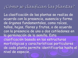 ¿Cómo se clasifican las plantas?¿Cómo se clasifican las plantas?
La clasificación de las plantas se realiza de
acuerdo con la presencia, ausencia y forma
de órganos fundamentales, como raíces,
tallos, hojas, flores y frutos, o de acuerdo
con la presencia de uno o dos cotiledones en
la germinación de la semilla. Esta
clasificación basada en las estructuras
morfológicas y características particulares
de cada planta permite identificarlas hasta el
nivel de especie.
 
