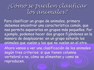 ¿Cómo se pueden clasificar¿Cómo se pueden clasificar
los animales?los animales?
Para clasificar un grupo de animales, primero
debemos encontrar una característica común, que
nos permita separarlos en grupos más pequeños. Por
ejemplo, podemos hacer dos grupos fijándonos en la
manera de desplazarse: en un grupo estarán los
animales que vuelan y los que no vuelan en el otro.
Ahora vamos a ver una clasificación de los animales
según tres criterios: si que tienen columna
vertebral o no, cómo se alimentan y como se
reproducen.
 