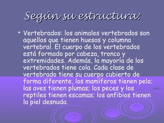 Según su estructura:Según su estructura:

Vertebrados: los animales vertebrados son
aquellos que tienen huesos y columna
vertebral. El cuerpo de los vertebrados
está formado por cabeza, tronco y
extremidades. Además, la mayoría de los
vertebrados tiene cola. Cada clase de
vertebrado tiene su cuerpo cubierto de
forma diferente, los mamíferos tienen pelo;
las aves tienen plumas; los peces y los
reptiles tienen escamas; los anfibios tienen
la piel desnuda.
 