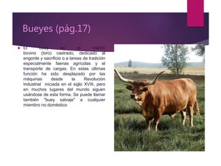 Bueyes (pág.17)
 El buey es el macho
bovino (toro) castrado, dedicado al
engorde y sacrificio o a tareas de tradición
especialmente faenas agrícolas y el
transporte de cargas. En estas últimas
función ha sido desplazado por las
máquinas desde la Revolución
Industrial iniciada en el siglo XVIII, pero
en muchos lugares del mundo siguen
usándose de esta forma. Se puede llamar
también "buey salvaje" a cualquier
miembro no doméstico
 