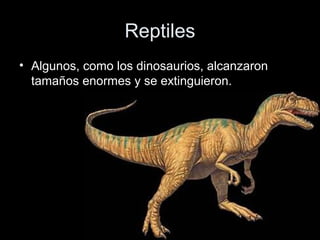 Reptiles
• Algunos, como los dinosaurios, alcanzaron
  tamaños enormes y se extinguieron.
 