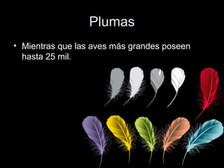 Plumas
• Mientras que las aves más grandes poseen
  hasta 25 mil.
 