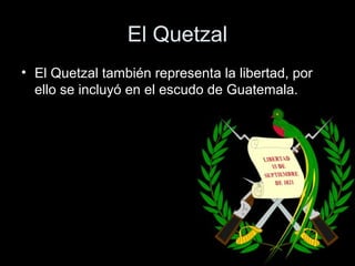 El Quetzal
• El Quetzal también representa la libertad, por
  ello se incluyó en el escudo de Guatemala.
 