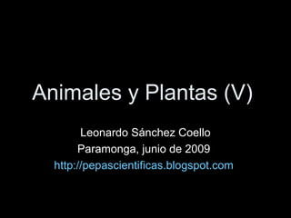 Animales y Plantas (V)
        Leonardo Sánchez Coello
       Paramonga, junio de 2009
  http://pepascientificas.blogspot.com
 