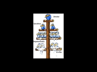 Biologia 5 - Animales: Reptiles y Aves