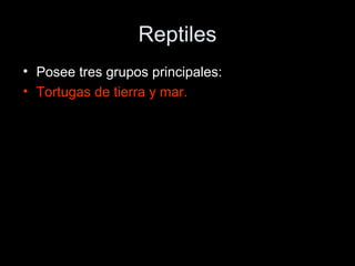 Reptiles
• Posee tres grupos principales:
• Tortugas de tierra y mar.
 